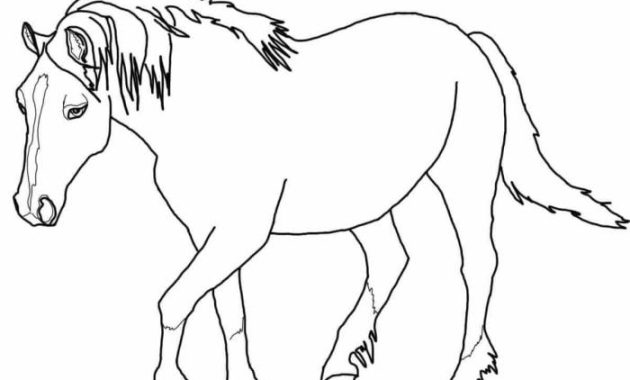 Horse animals coloring pages