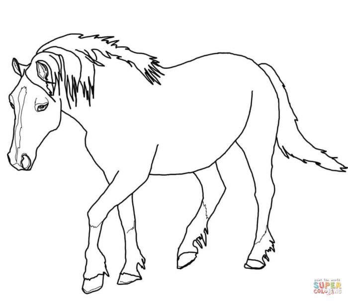 Horse animals coloring pages