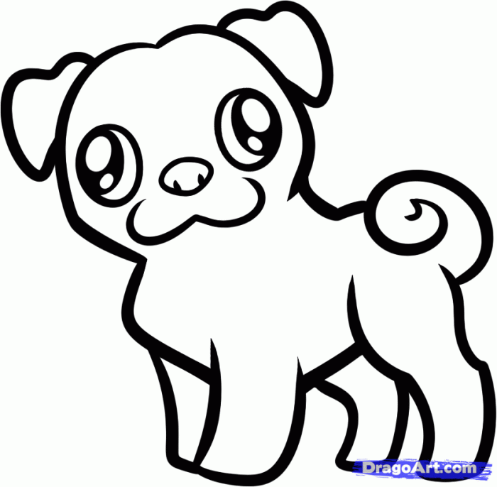 Coloring pages baby animals pug