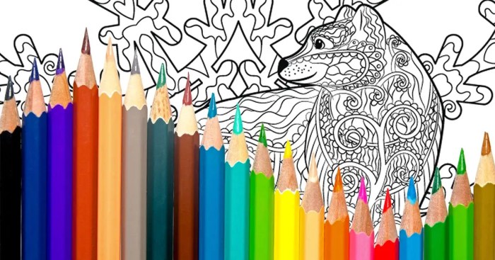 Furbearing animals coloring books