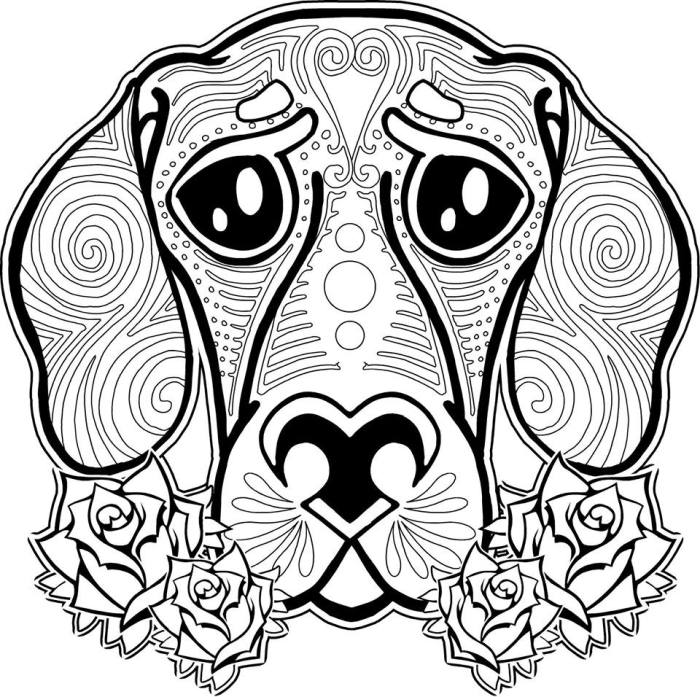 Grown up coloring pages animals