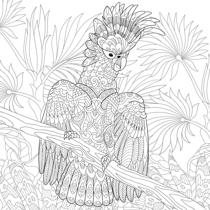 Birds a mindful coloring book