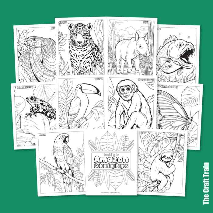 Rainforest animals coloring pages preschool