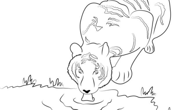 Drinking animals coloring pages