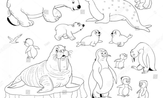 Free coloring pictures of arctic animals