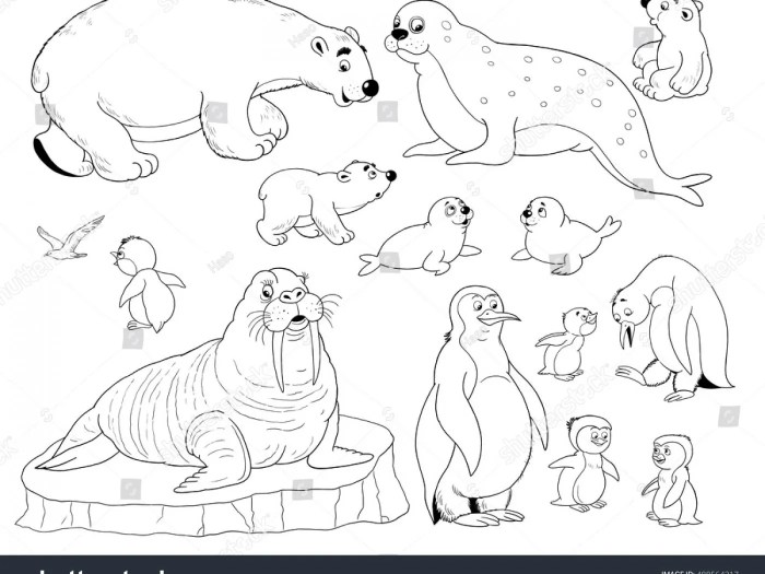 Free coloring pictures of arctic animals