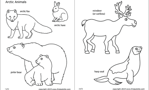 Coloring Pictures of Polar Animals A Deep Dive