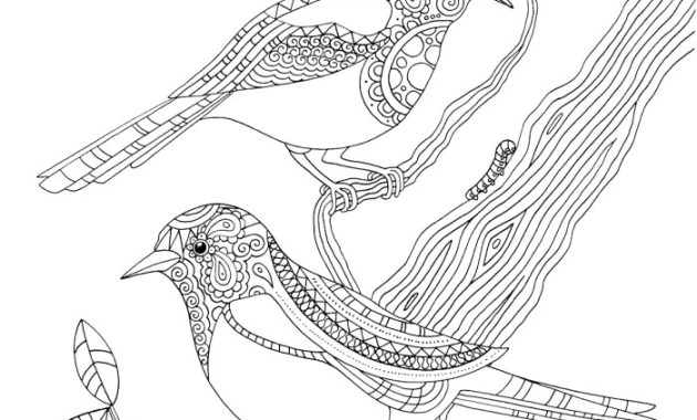 Birds a mindful coloring book