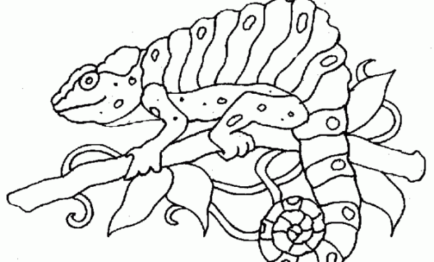 Free forest animals coloring pages