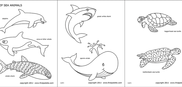 Deep Sea Ocean Animals Coloring Pages