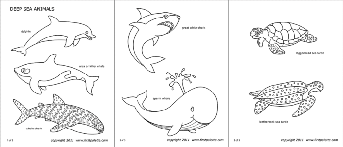 Deep sea ocean animals coloring pages