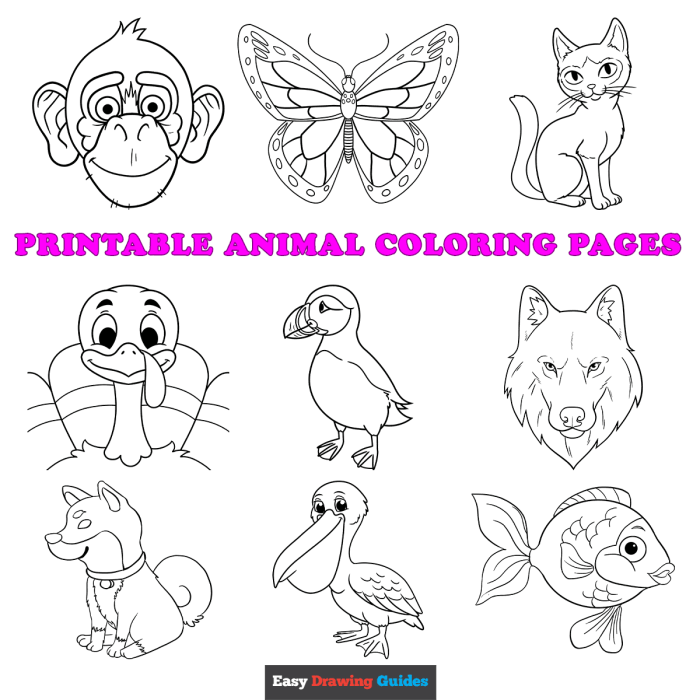 Detailed animal printable coloring pages for children