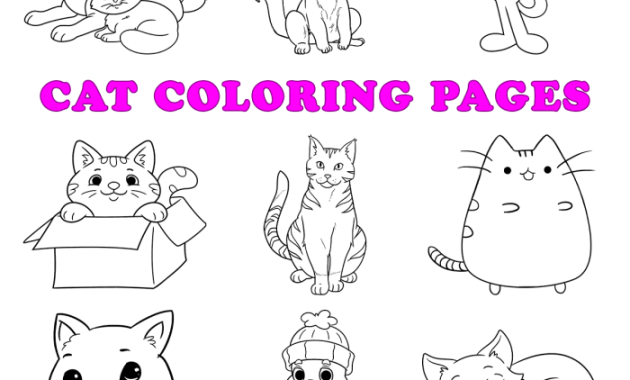 Easy Animal Coloring Pages Cat