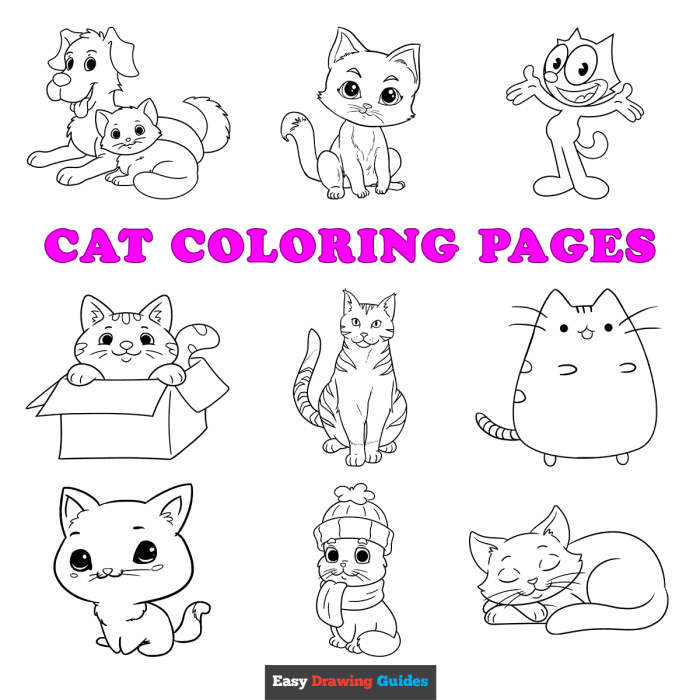 Easy animal coloring pages cat