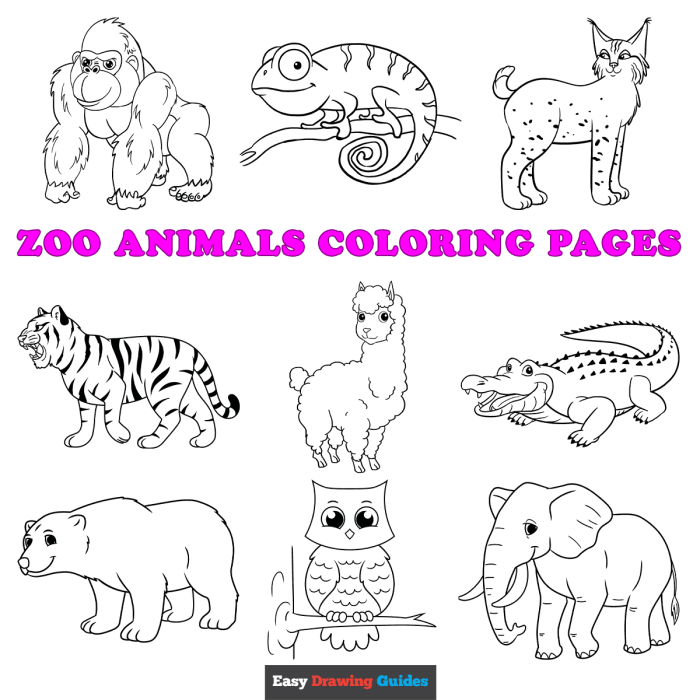 Zoo animal alphabet coloring pages