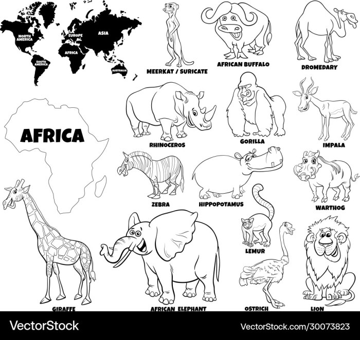 Africa animals coloring pages