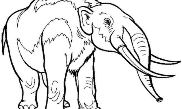 Extinct animals coloring book