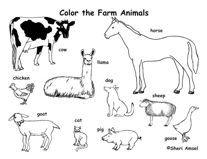 Farm animals coloring page pdf