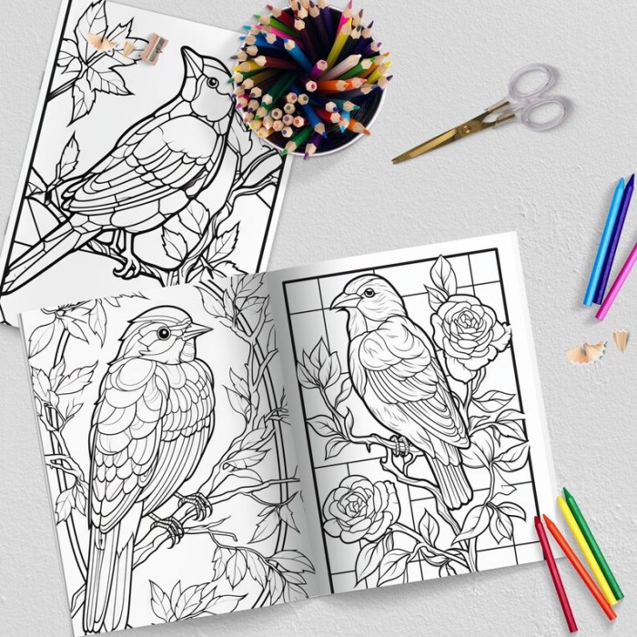 Birds coloring book pdf free download