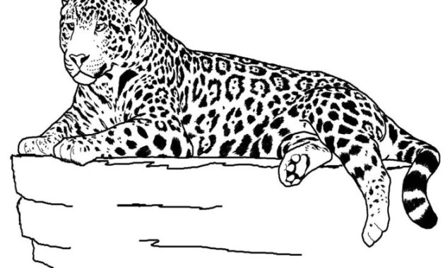 Decorative Animal Coloring Pages