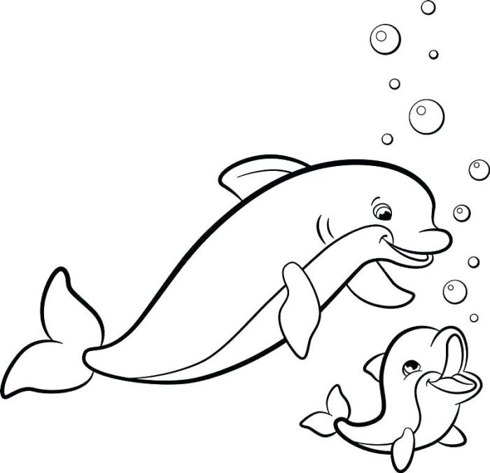 Animal coloring pages of dolphins and whales