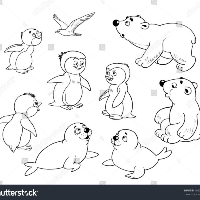 Coloring pictures of polar animals