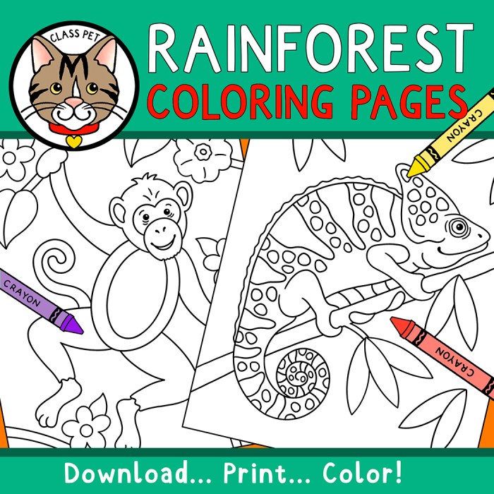 Coloring pages for rainforest animals