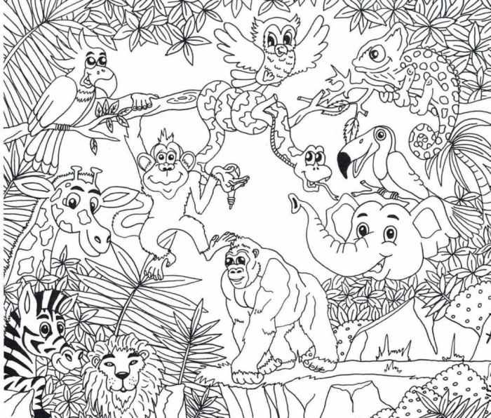 Jungle animals pictures for coloring