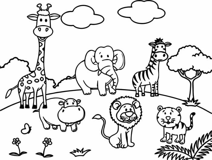 Jungle animals pictures for coloring