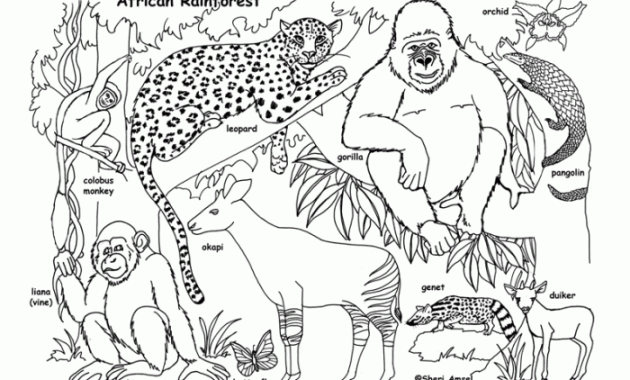 Coloring Pages for Rainforest Animals